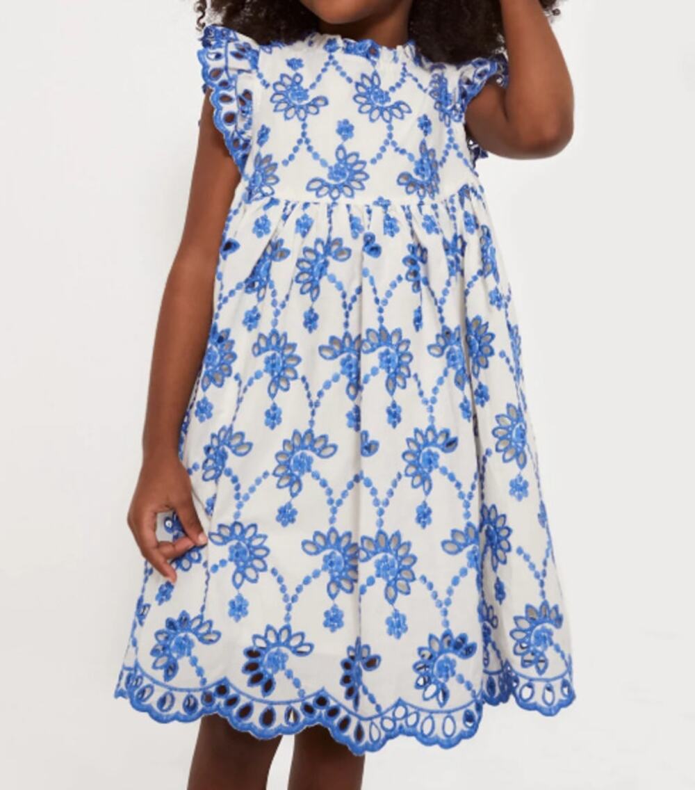 Pink Chicken Girl's Blue Eyelet Cynthia A- Line Dress Size 3Y